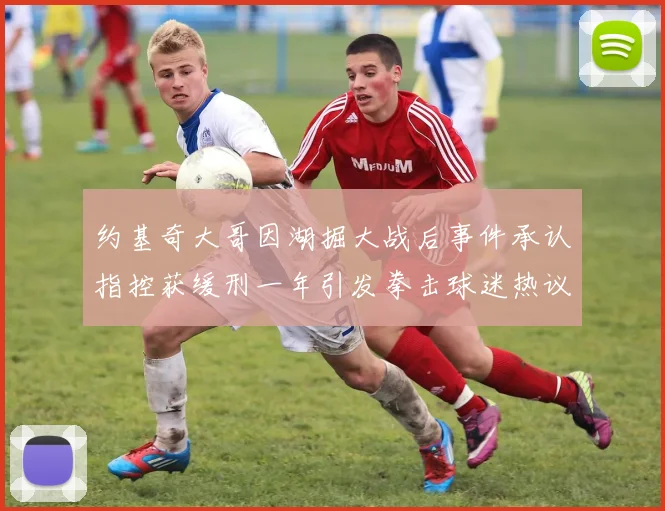 约基奇大哥因湖掘大战后事件承认指控获缓刑一年引发拳击球迷热议