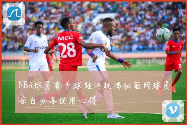 NBA球员赛季球鞋消耗揭秘篮网球员亲自分享使用心得